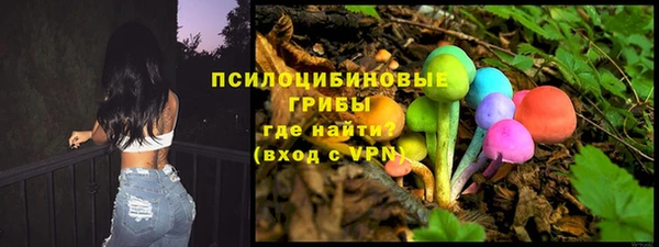 прущие грибы Беломорск
