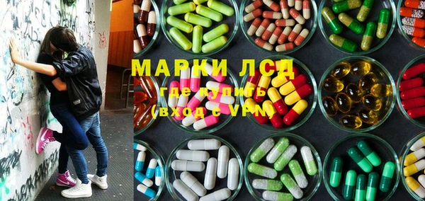 прущие грибы Беломорск