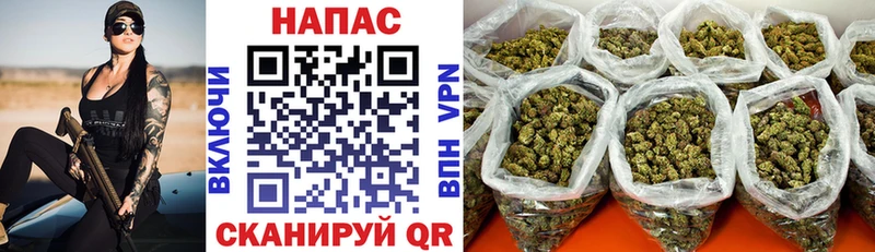 Бошки марихуана сатива Олёкминск